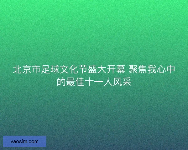 北京市足球文化节盛大开幕 聚焦我心中的最佳十一人风采