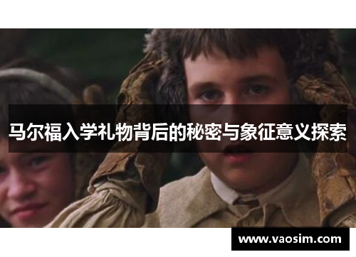 马尔福入学礼物背后的秘密与象征意义探索