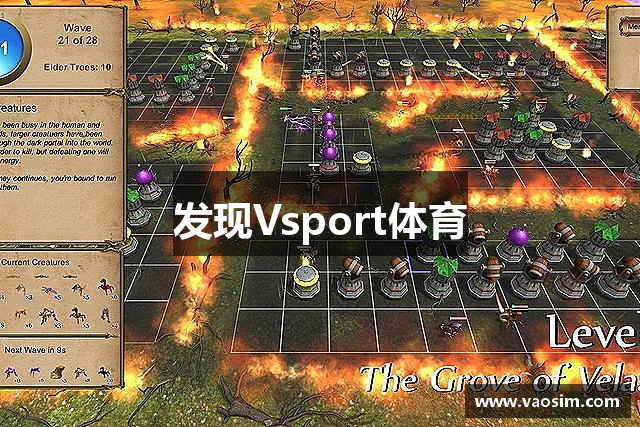 发现Vsport体育